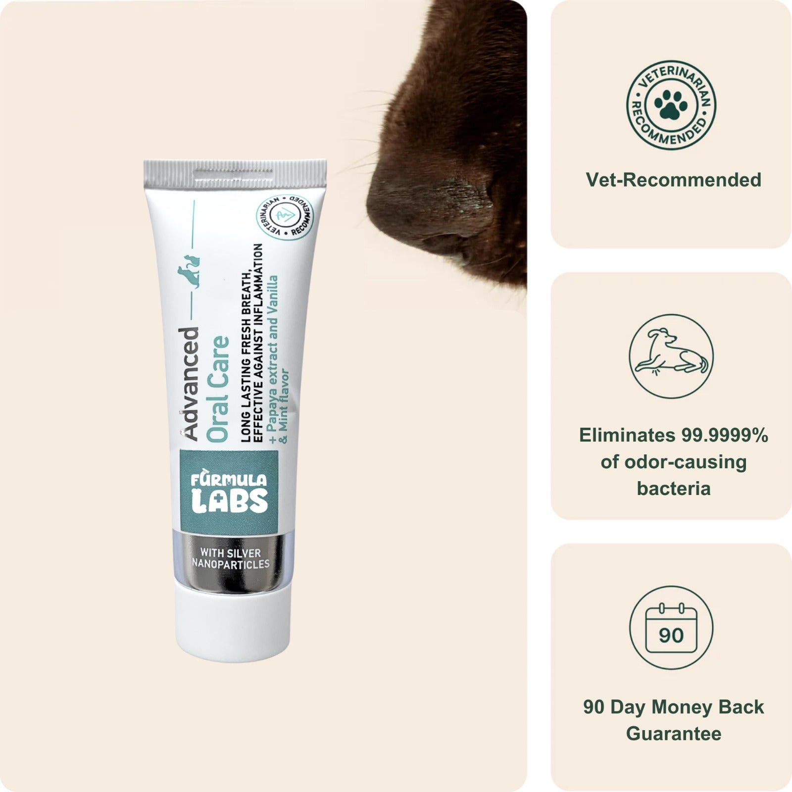 Nanoparticle Dental Gel for Pets