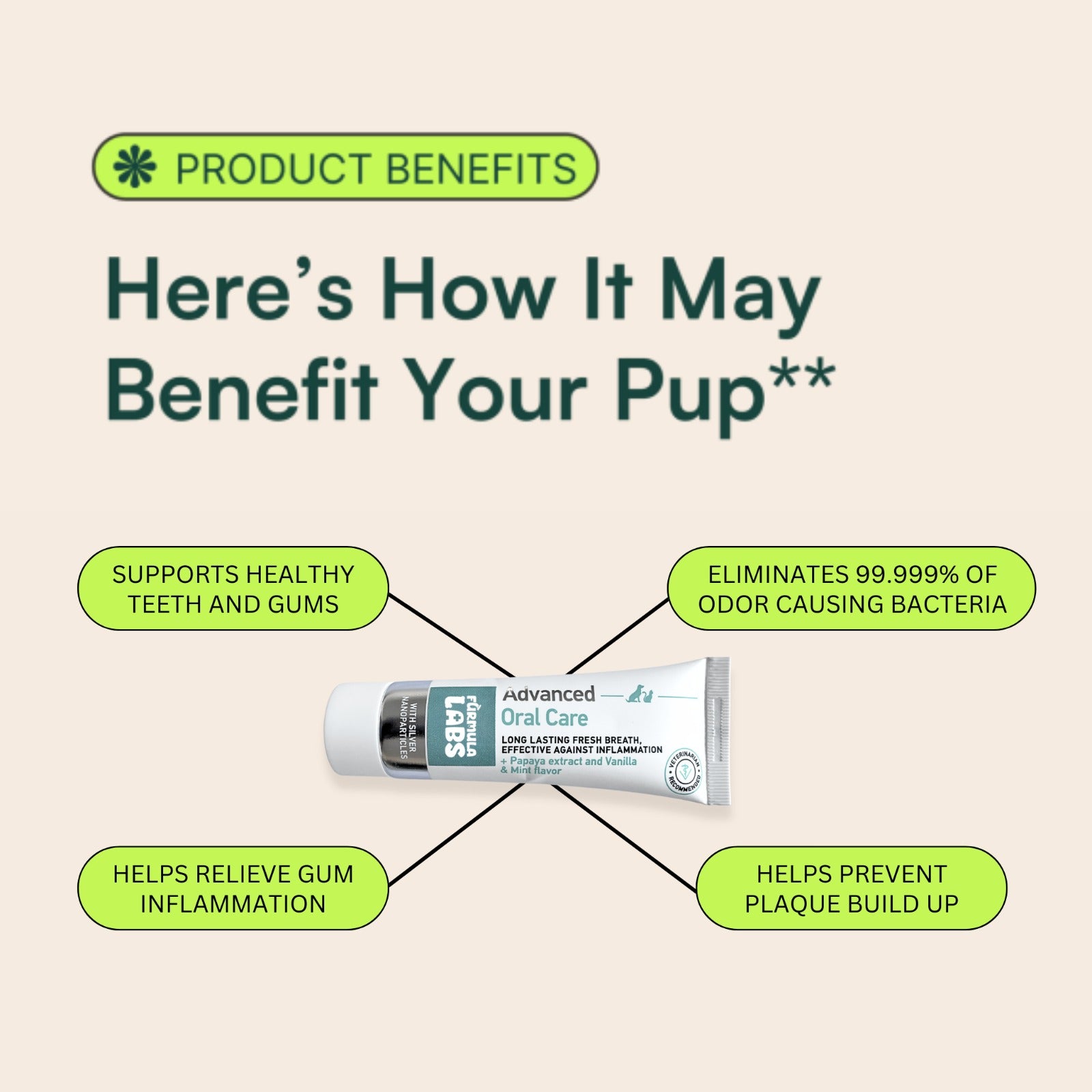 Nanoparticle Dental Gel for Pets