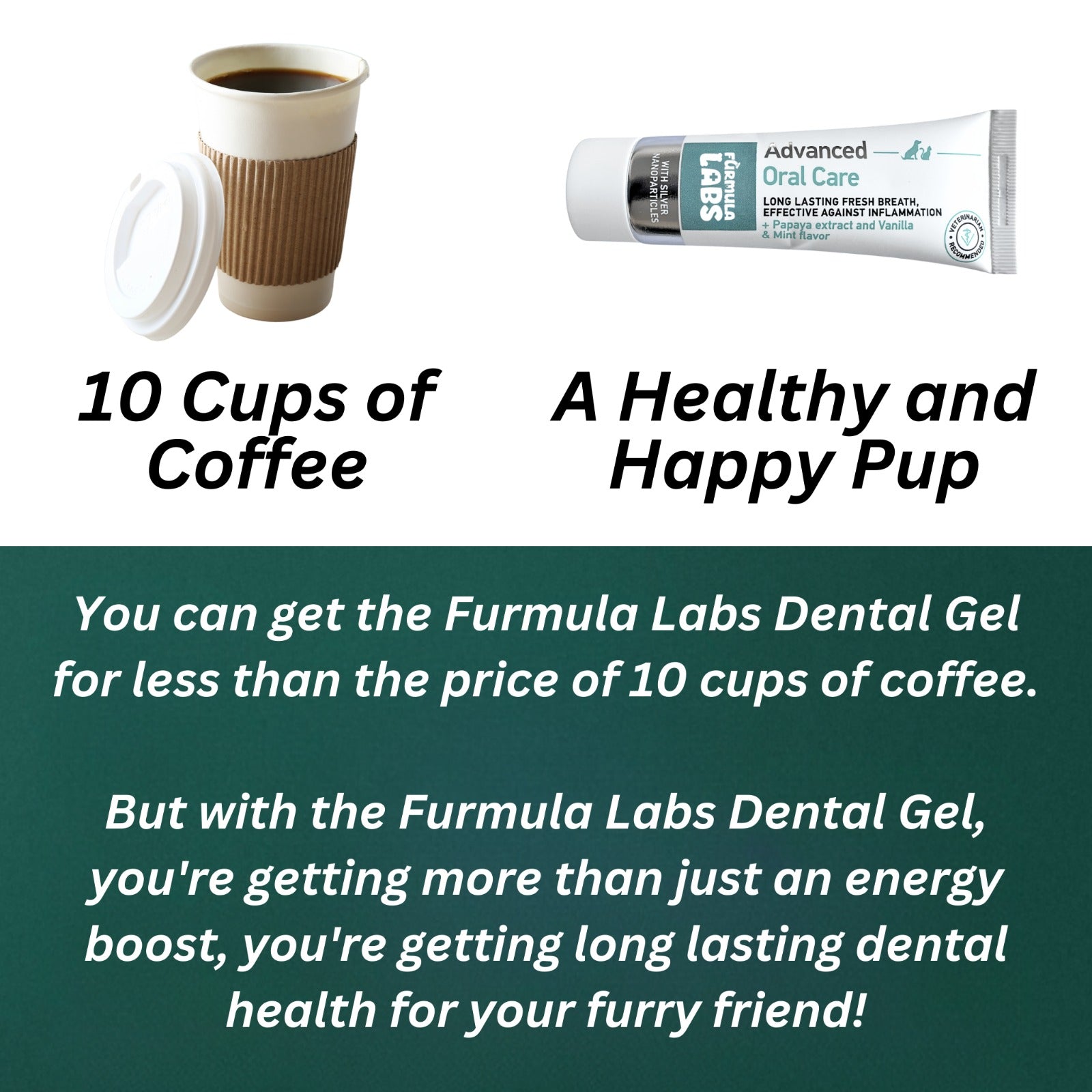 Nanoparticle Dental Gel for Pets