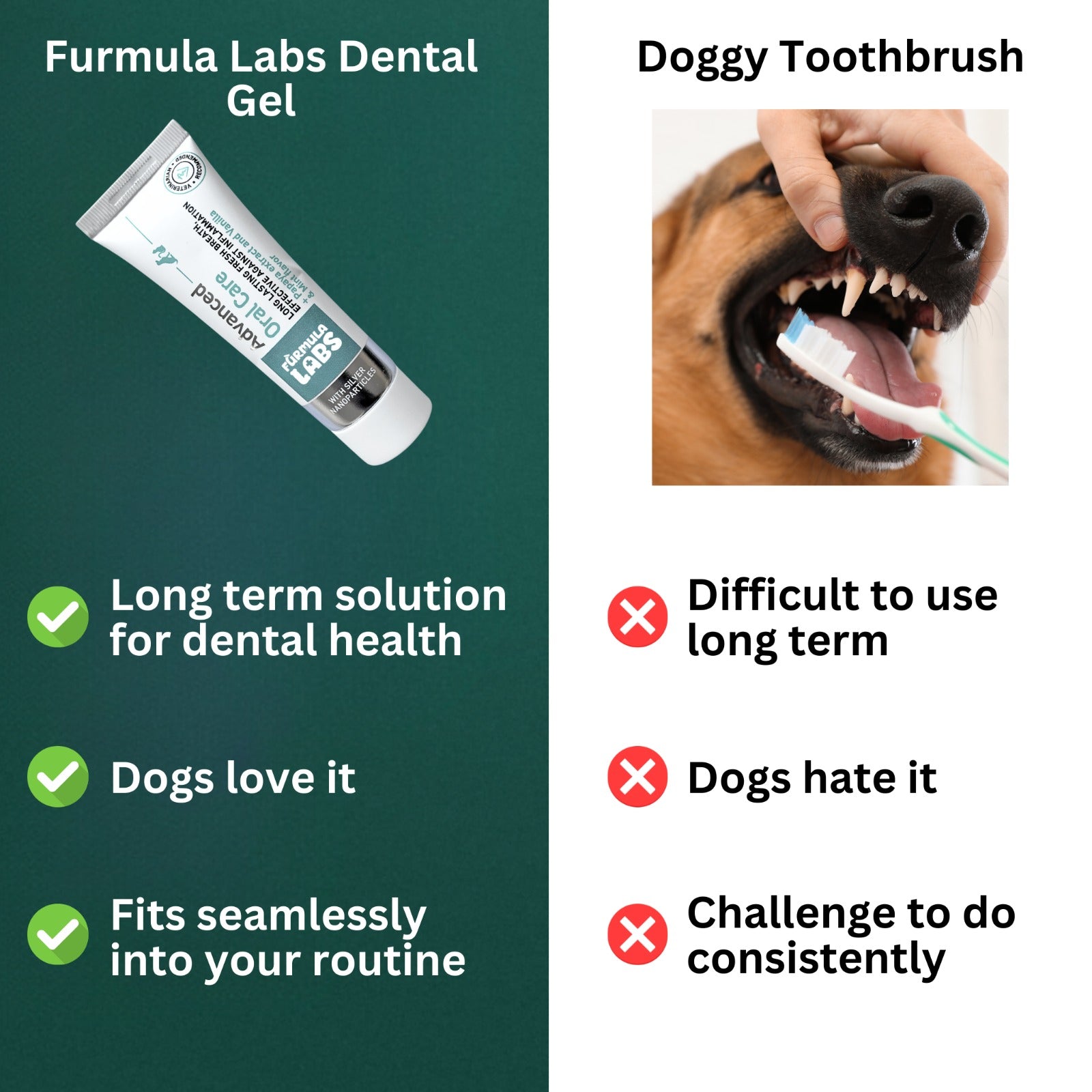 Nanoparticle Dental Gel for Pets